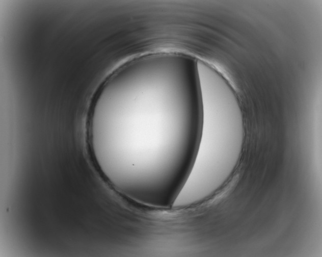 X0000089391134200706150926