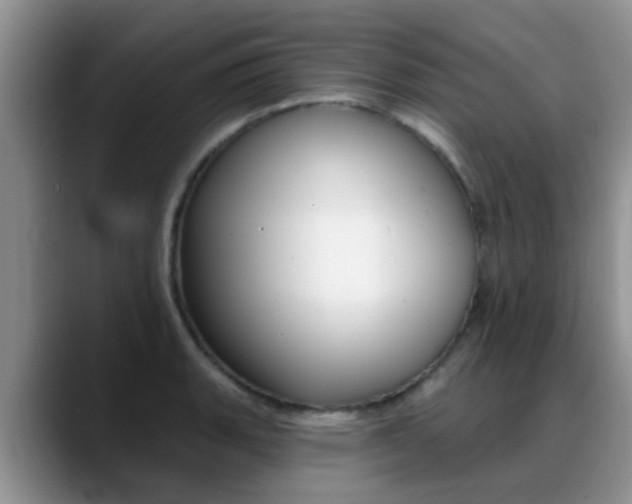 X0000089391135200706150926
