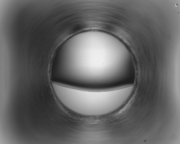 X0000089391137200706150926
