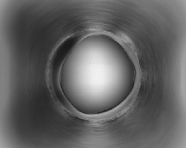 X0000089391138200706150926
