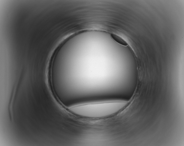 X0000089391139200706150926