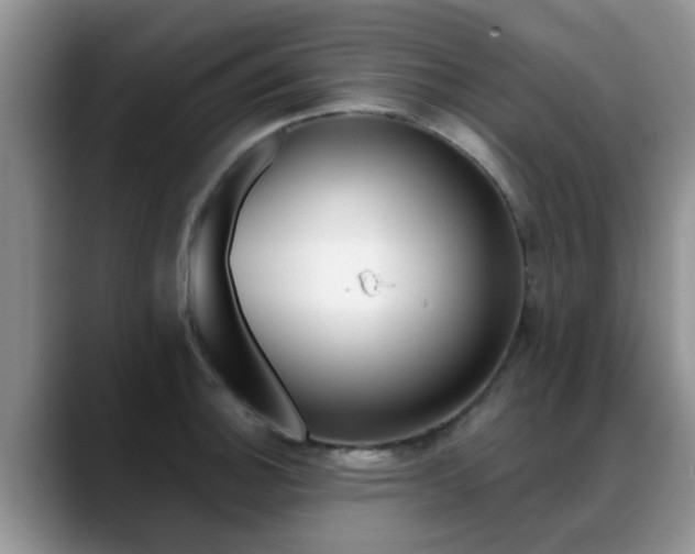 X0000089391140200706150926