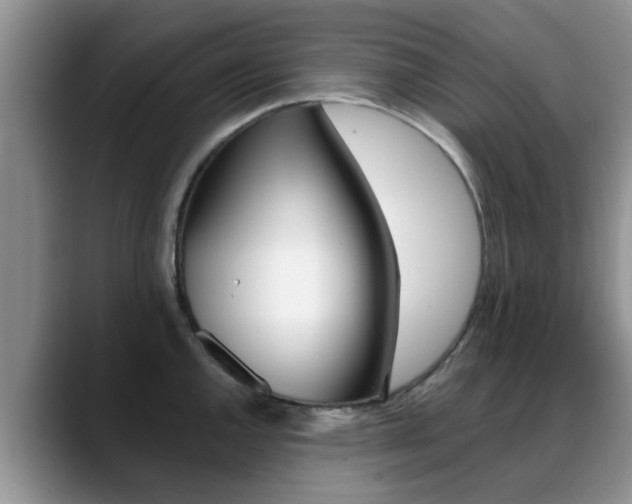 X0000089391144200706150926
