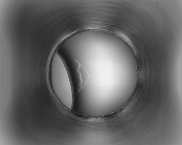 X0000089391146200706150926
