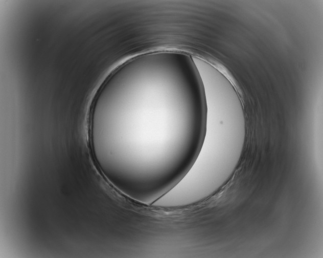 X0000089391148200706150926