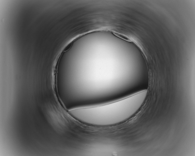 X0000089391151200706150926