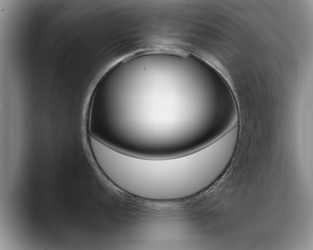 X0000089391152200706150926