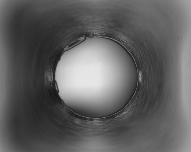 X0000089391155200706150925