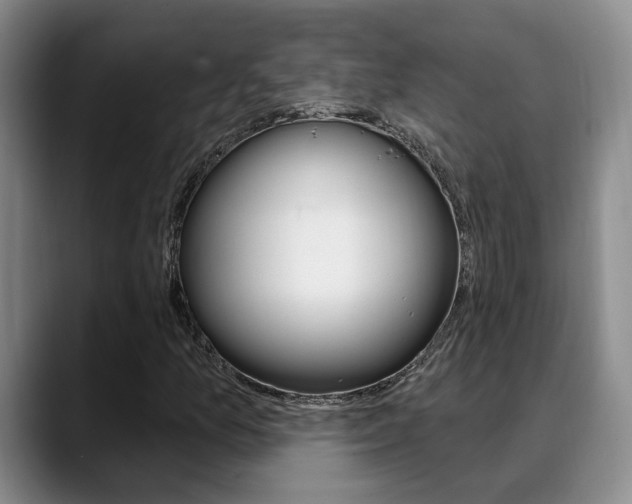 X0000089391157200706150925