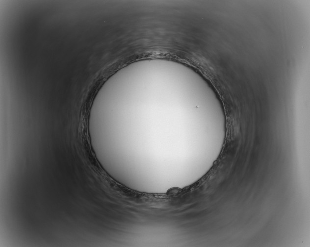 X0000089391158200706150925