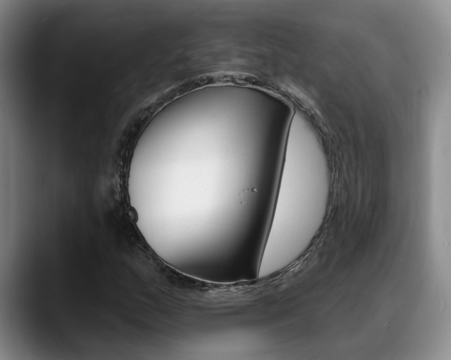 X0000089391159200706150925