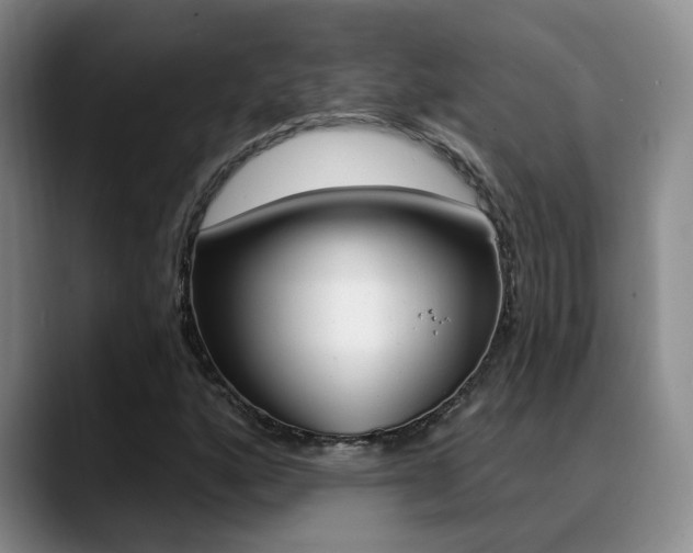 X0000089391160200706150925