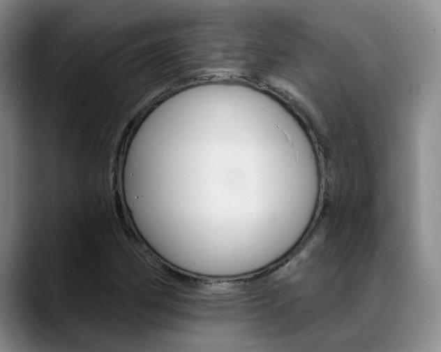 X0000089391162200706150925