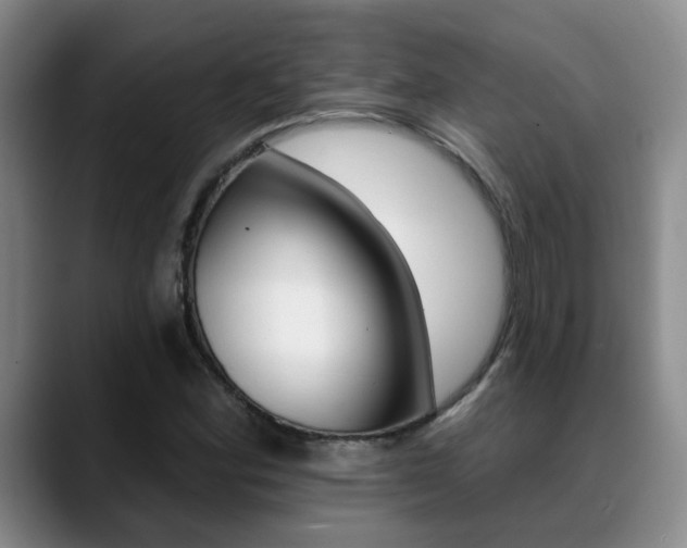 X0000089391164200706150925
