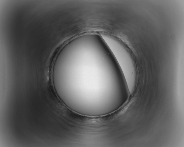 X0000089391165200706150925