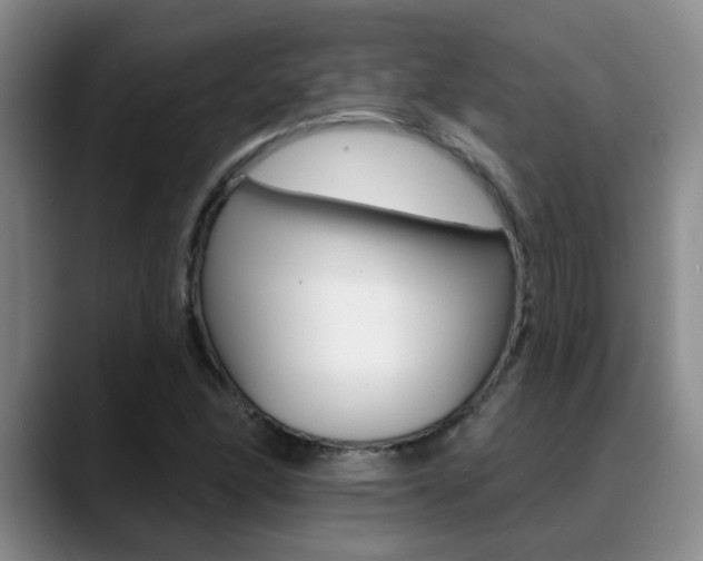 X0000089391166200706150925