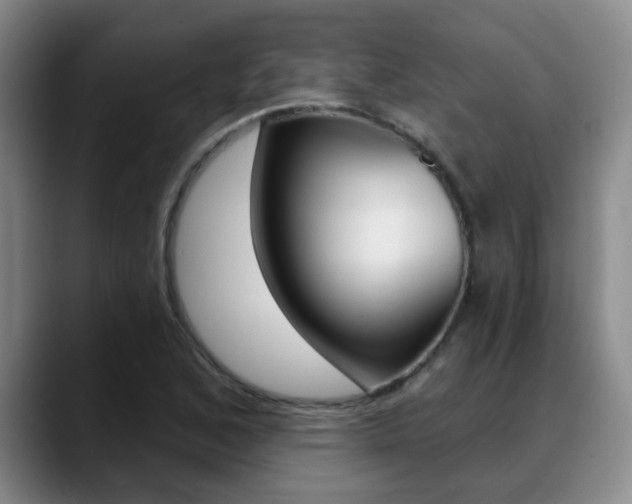 X0000089391168200706150925