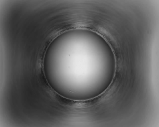 X0000089391169200706150925