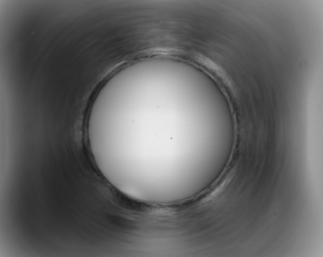 X0000089391170200706150925