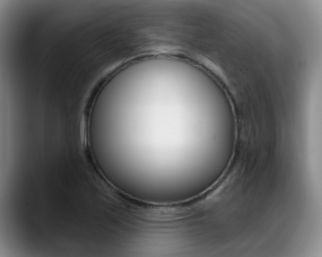 X0000089391171200706150925
