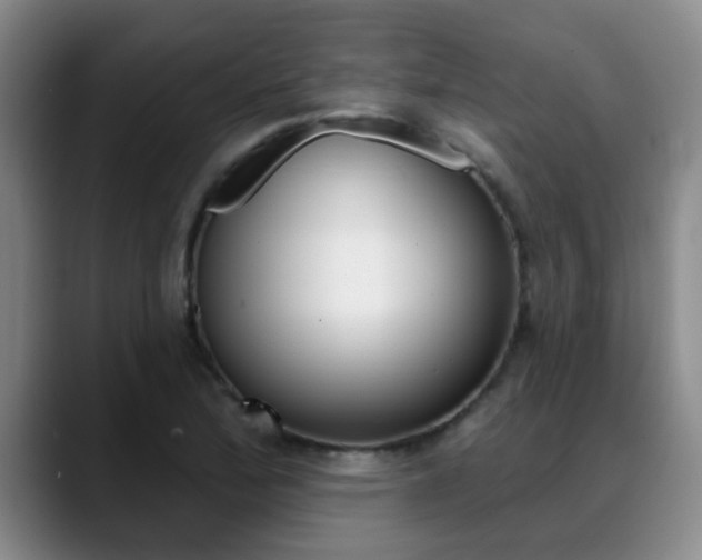 X0000089391172200706150925