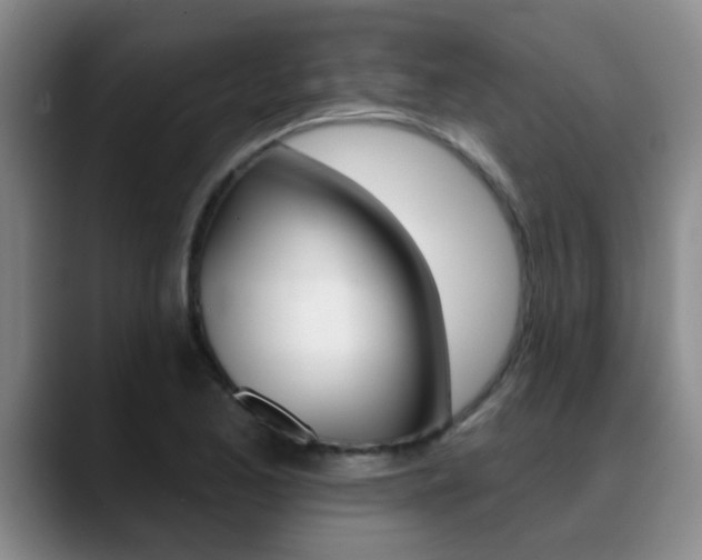 X0000089391173200706150925