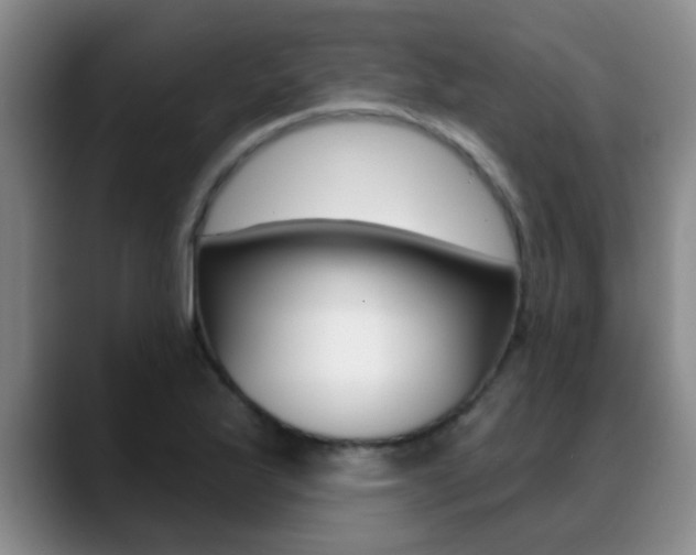 X0000089391175200706150925