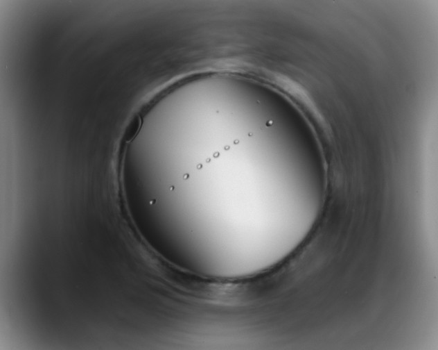 X0000089391176200706150925