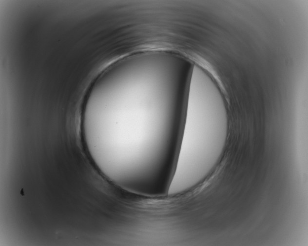 X0000089391179200706150925