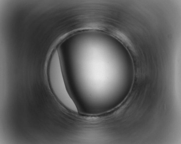 X0000089391180200706150925