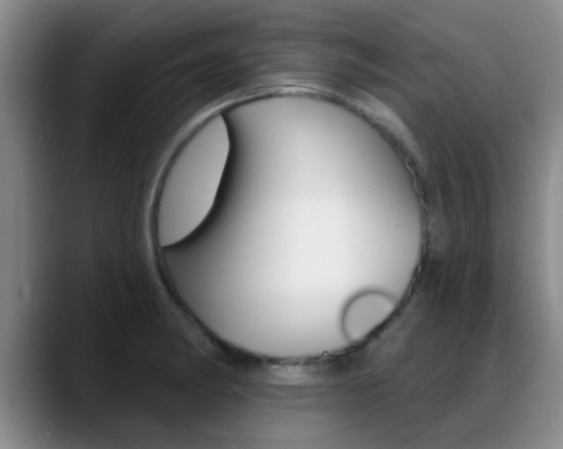 X0000089391182200706150925
