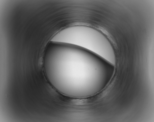 X0000089391185200706150925