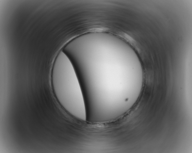 X0000089391186200706150925