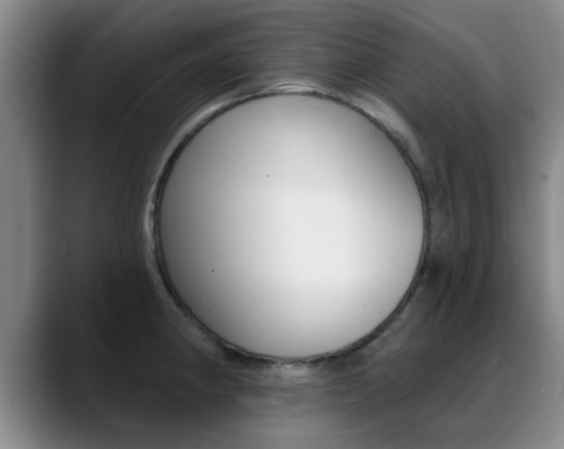 X0000089391190200706150925