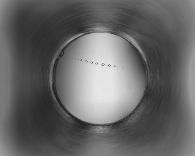 X0000089391195200706150925