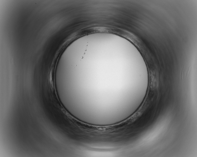 X0000089391198200706150925