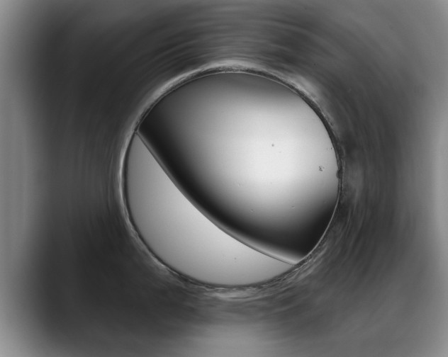 X0000089391199200706150925