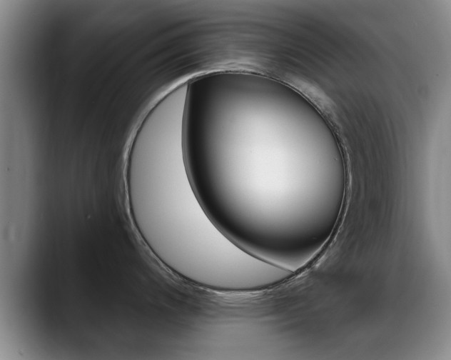 X0000089391200200706150925