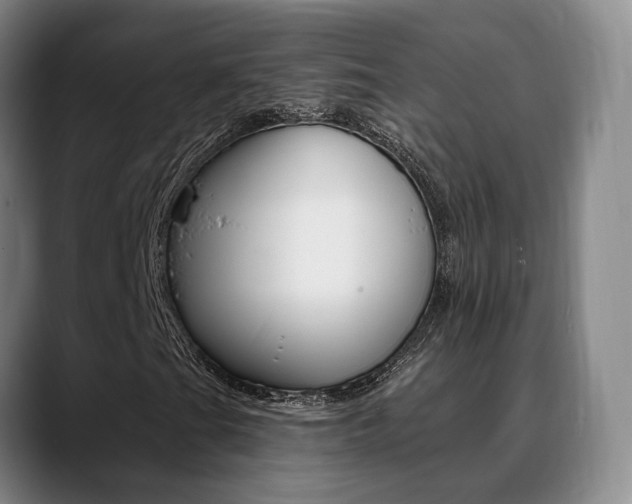 X0000089391201200706150924