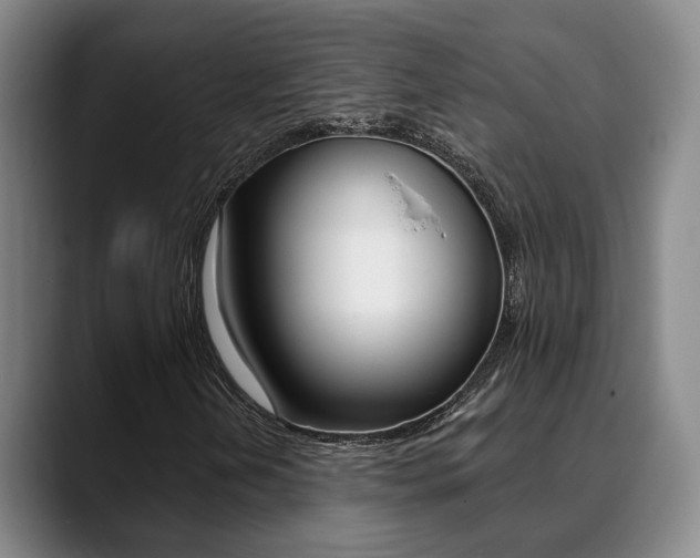 X0000089391202200706150924