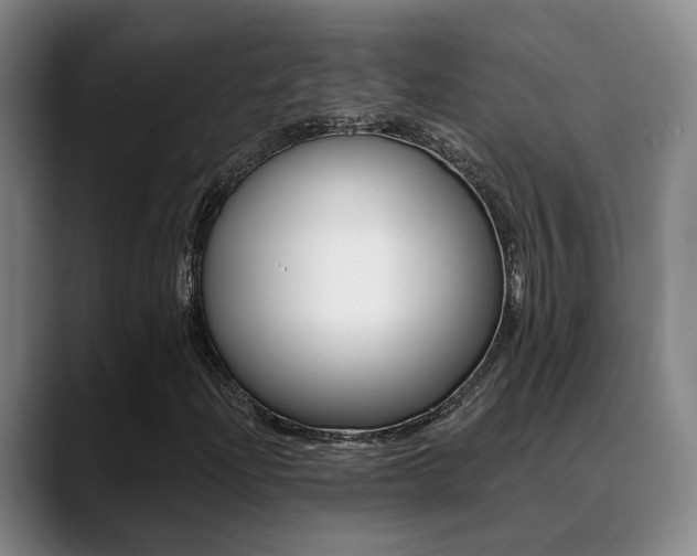 X0000089391204200706150924