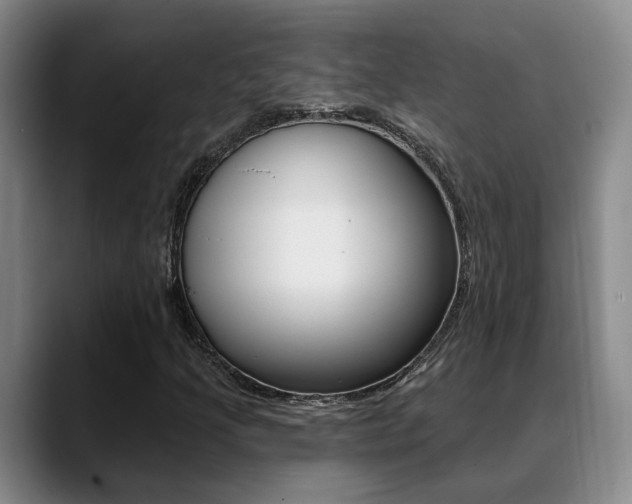 X0000089391205200706150924