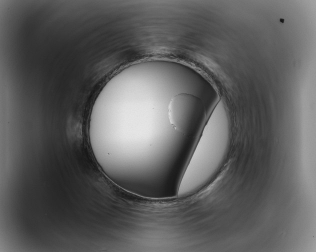 X0000089391209200706150924