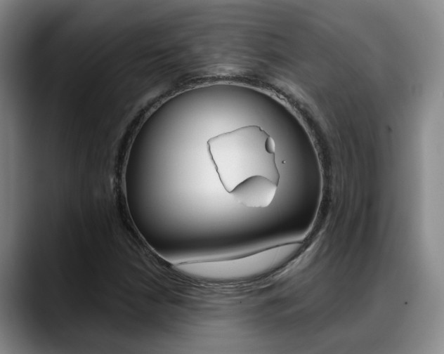 X0000089391210200706150924