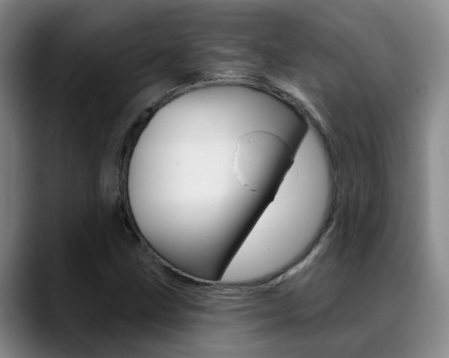 X0000089391211200706150924