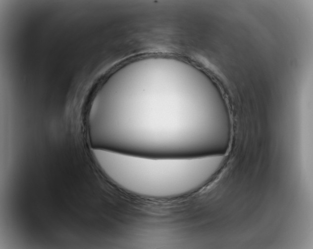 X0000089391215200706150924