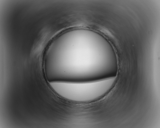 X0000089391216200706150924
