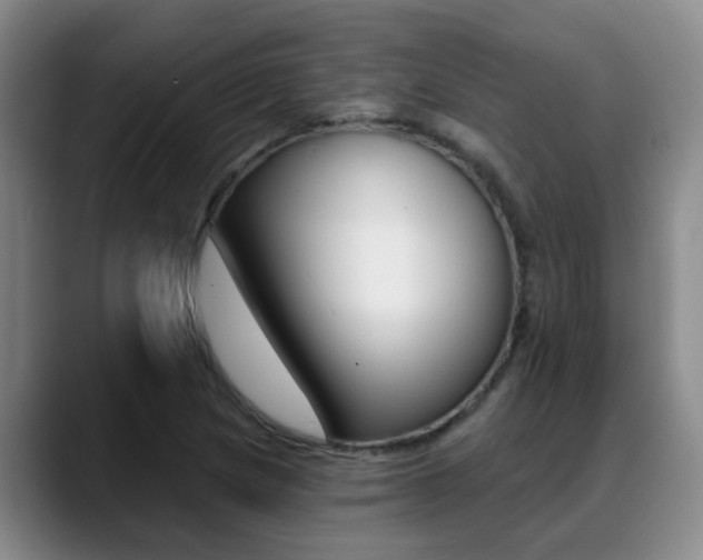 X0000089391217200706150924