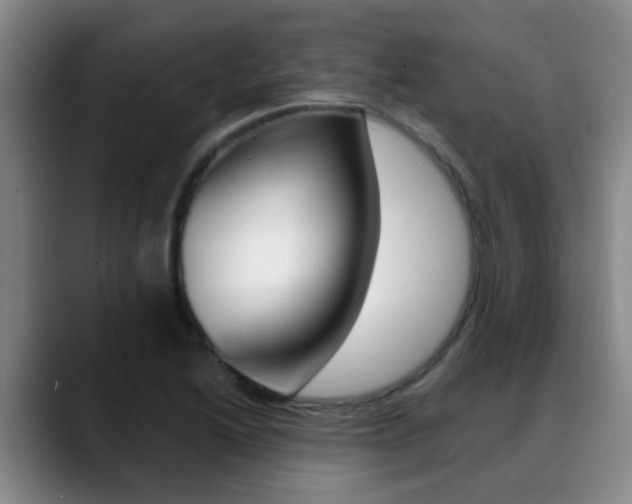 X0000089391222200706150924