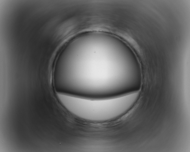 X0000089391224200706150925